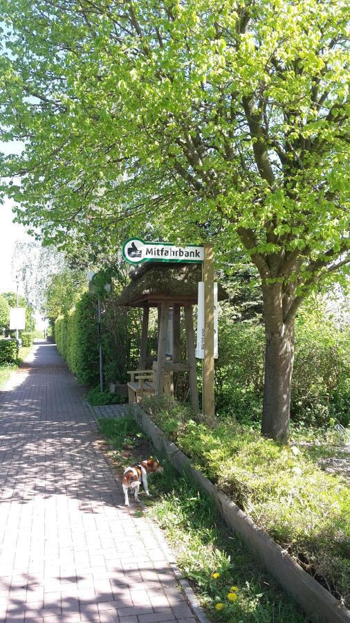 Ferienwohnung Haffblick Westerholz Екстериор снимка